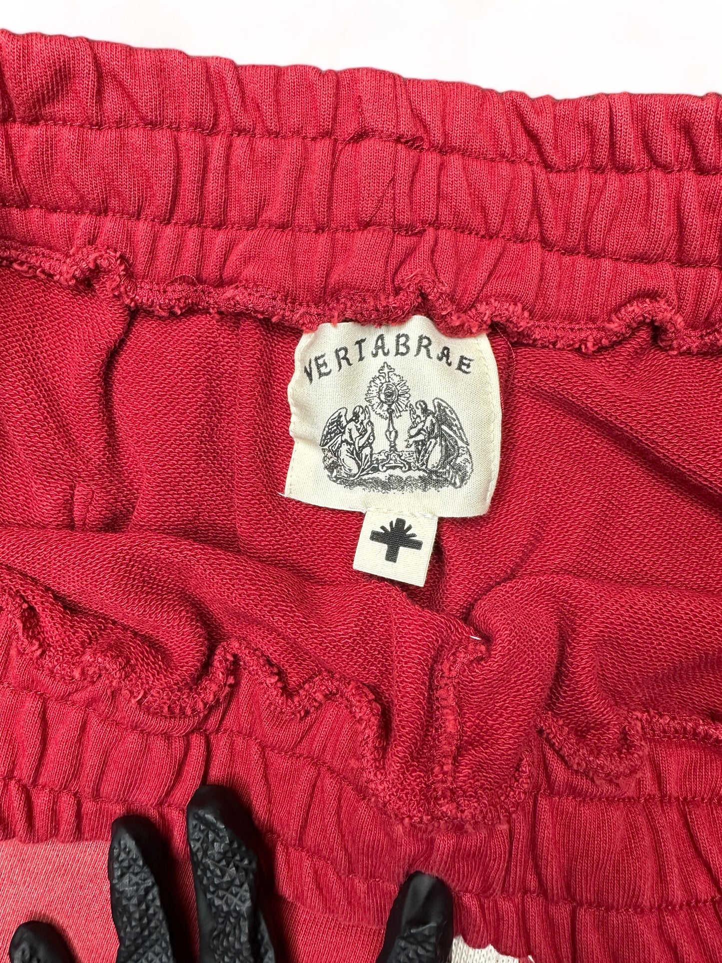 Vertabrae Emblem Shorts