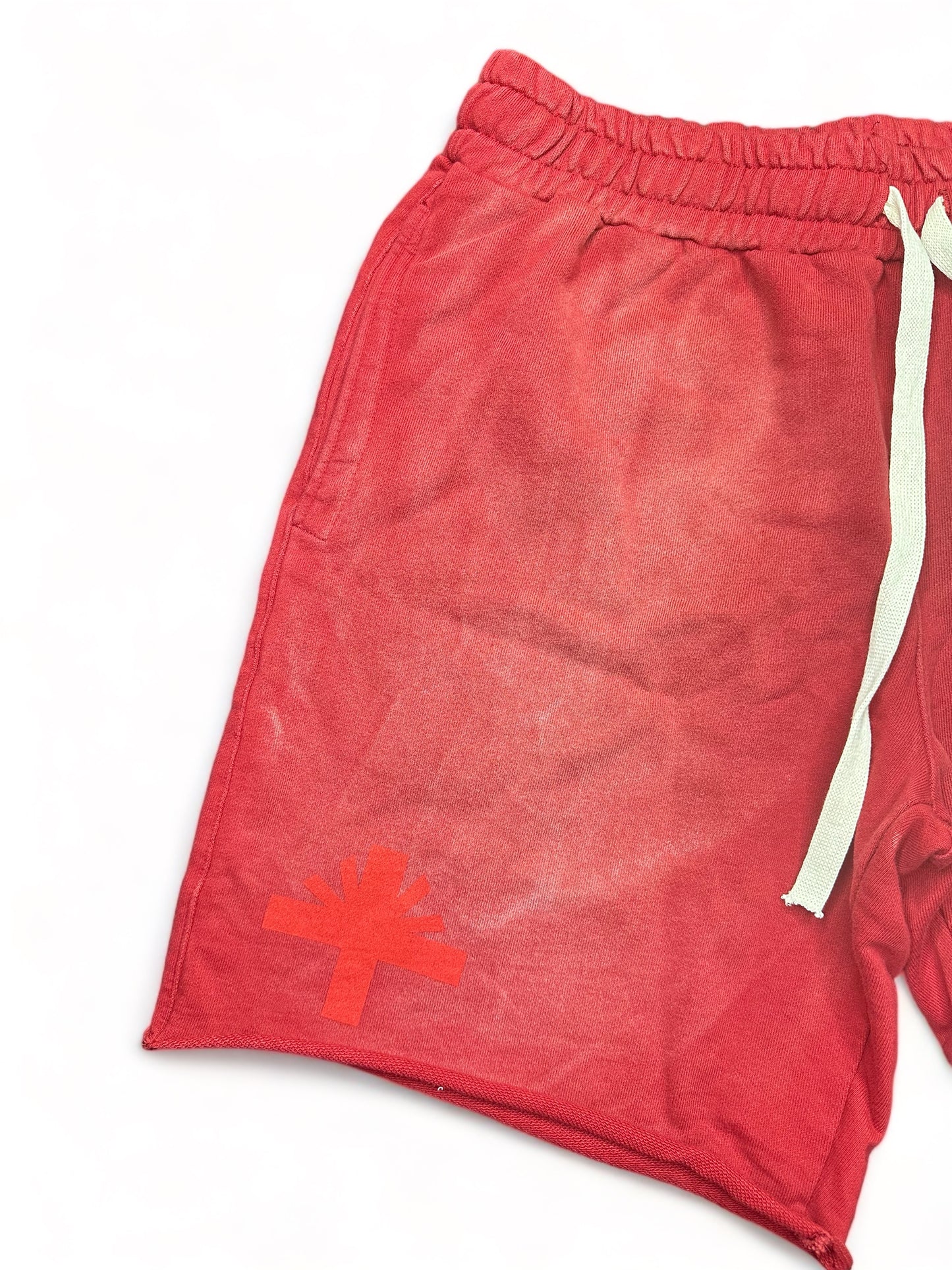 Vertabrae Emblem Shorts