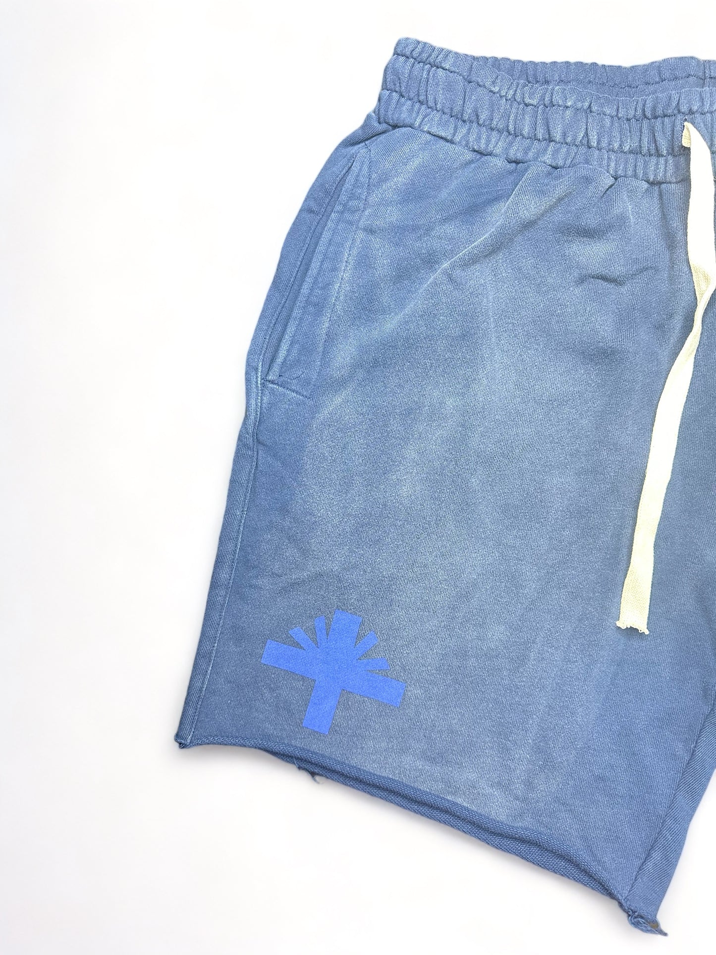 Vertabrae Emblem Shorts